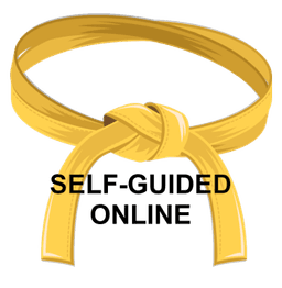 Self-paced online Yellow Belt