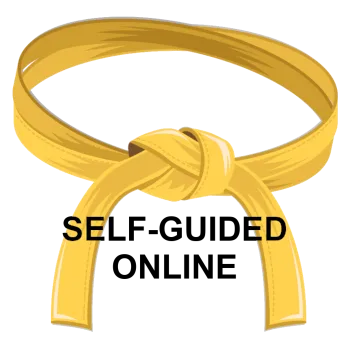 Self-guided online yellow belt